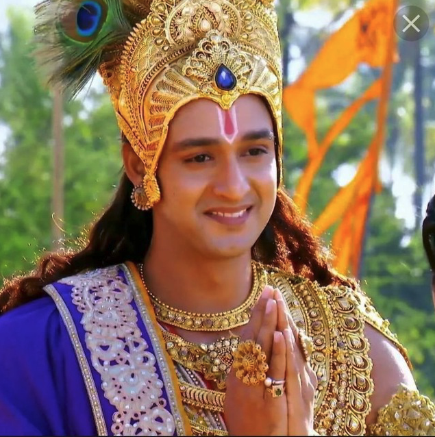 Мудрость Махабхараты